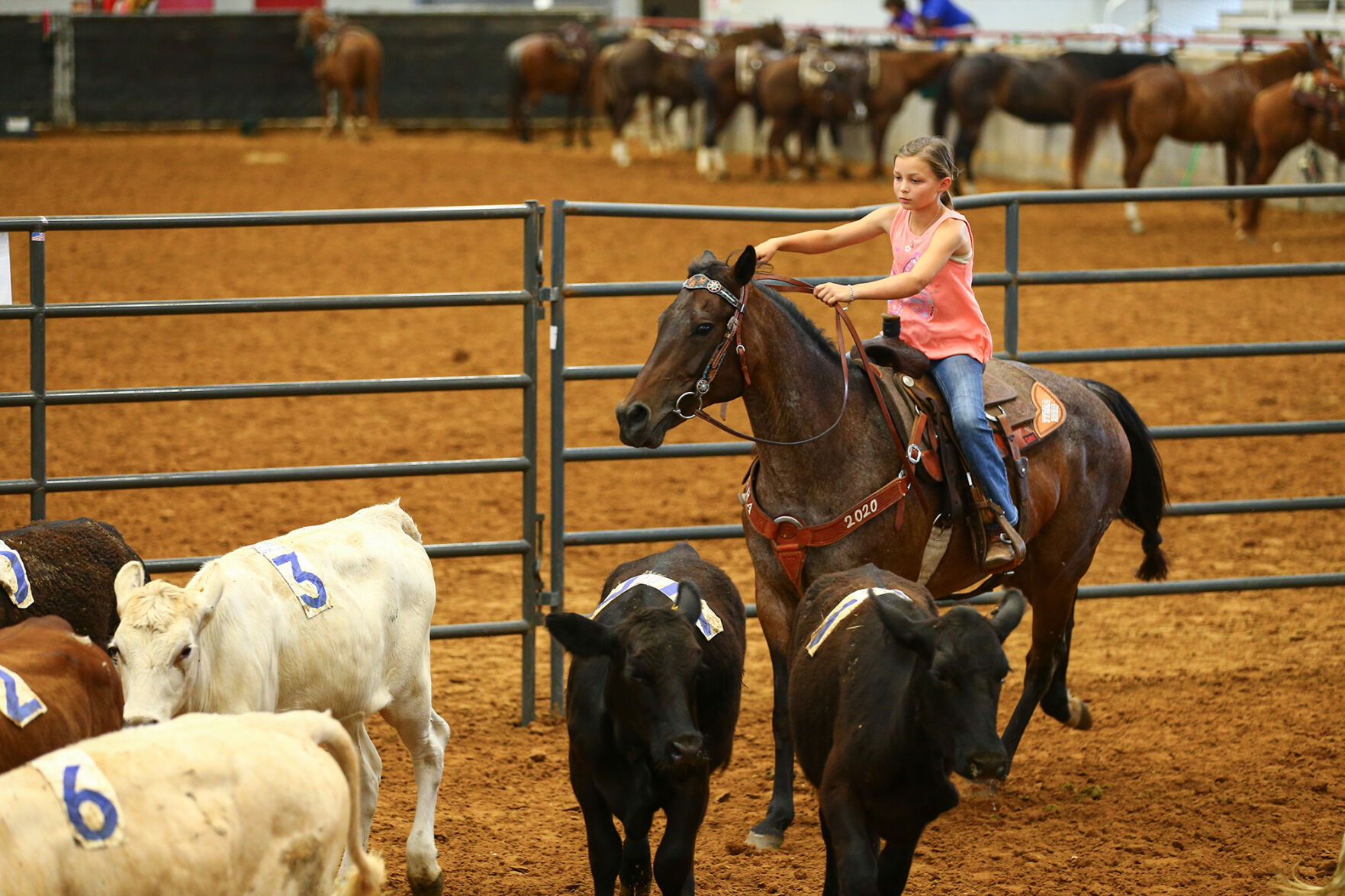 Ranch Sorting of America